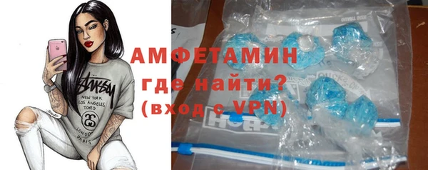 прущие грибы Дмитровск