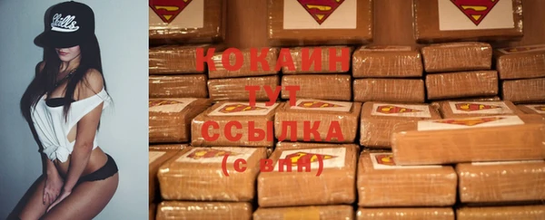 прущие грибы Дмитровск