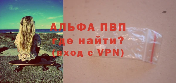 прущие грибы Дмитровск