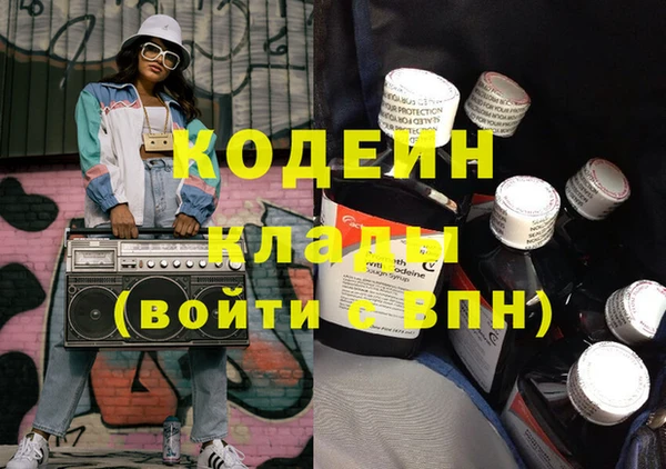 прущие грибы Дмитровск