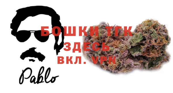прущие грибы Дмитровск
