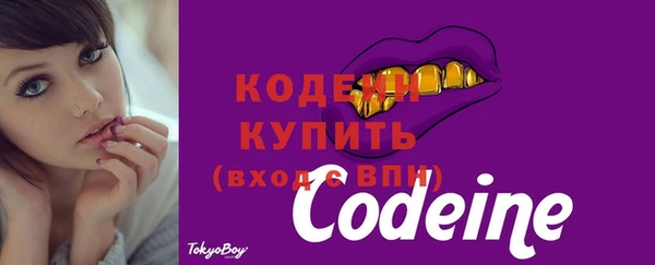 прущие грибы Дмитровск
