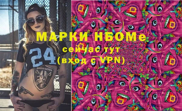 прущие грибы Дмитровск