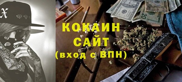 соль ск Няндома