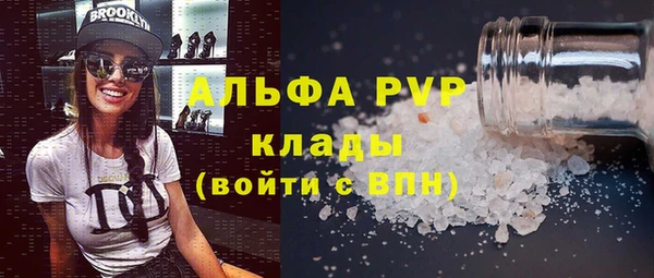 прущие грибы Дмитровск
