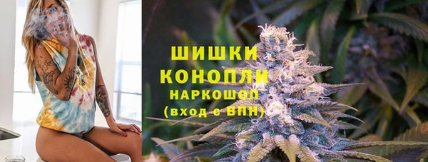 соль ск Няндома