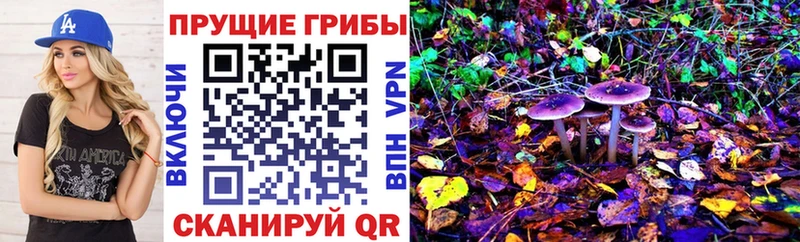 Псилоцибиновые грибы мухоморы  Севск 